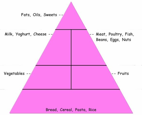 Healthy+food+pyramid+worksheet