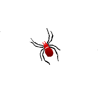 Spider Spinning Web - Al's Creation