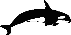 A Whale