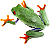 frog