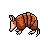 armadillo