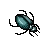 beetle