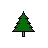 coniferous tree