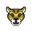 cougar