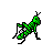 grasshopper