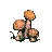 mushrooms