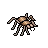 tarantula