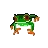 tree frog